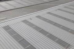 roof-3