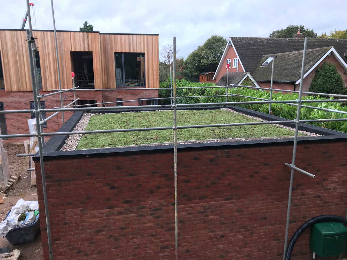 Green Roof Green Roof